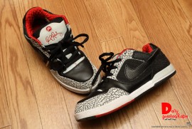 Daily Photograph 1450