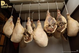 Daily Photograph 1485