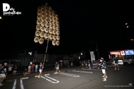 Daily Photograph 1542