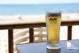 Daily Photograph 1563