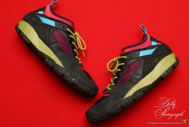 Daily Photograph 1697 Daily Photograph 1697