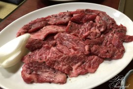 Daily Photograph 1700 Daily Photograph 1700