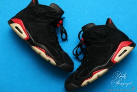 Daily Photograph 1771 Daily Photograph 1771