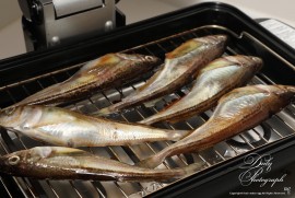 Daily Photograph 1791 Daily Photograph 1791