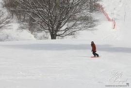 Daily Photograph 1829 Daily Photograph 1829