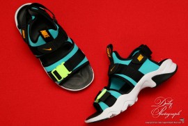 Daily Photograph 2053