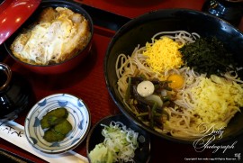 Daily Photograph 2057