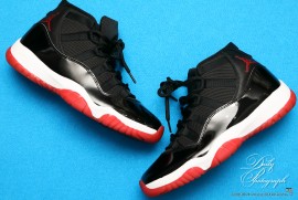 Daily Photograph 2070 Daily Photograph 2070