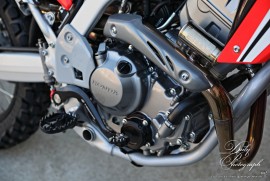 Daily Photograph 2097