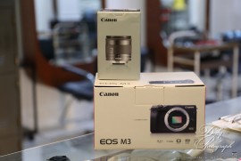 Daily Photograph 2121 Daily Photograph 2121