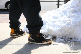 Daily Photograph 2155