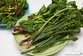 Daily Photograph 2195