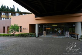 Daily Photograph 2260