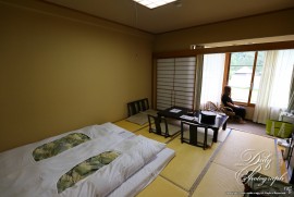 Daily Photograph 2261