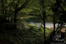 Daily Photograph 2302