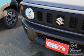 Daily Photograph 2307