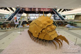 Daily Photograph 2382 Daily Photograph 2382