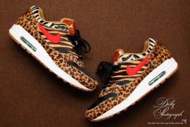 Daily Photograph 2397