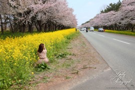 Daily Photograph 2423 Daily Photograph 2423