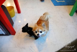 Daily Photograph 2438