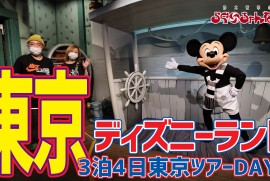 【東京ディズニーランド】 Tokyo Disneyland（3泊4日東京ツアーDAY3）