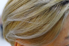 Daily Photograph 2530