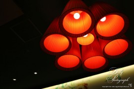 Daily Photograph 2531