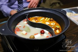 Daily Photograph 2545