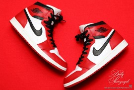 Daily Photograph 2546