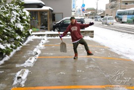 Daily Photograph 2547