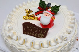 Daily Photograph 2570