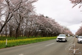 Daily Photograph 2651