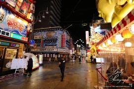 Daily Photograph 2676