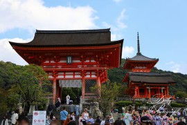 Daily Photograph 2801 Daily Photograph 2801