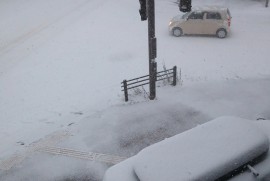 Dairy Photograph 2888