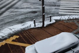 Dairy Photograph 2914