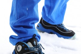 Dairy Photograph 2918