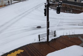 Dairy Photograph 2919