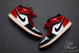 Dairy Photograph 2920