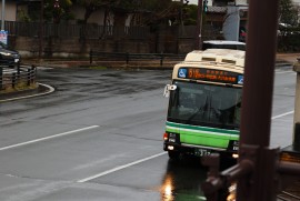 Dairy Photograph 2939