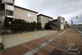 Dairy Photograph 2944