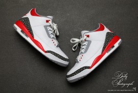 Dairy Photograph 2970