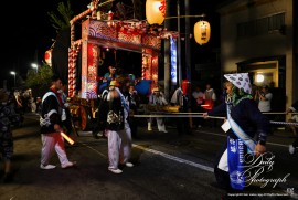 Dairy Photograph 3054