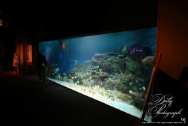 Dairy Photograph 3077