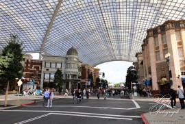 Dairy Photograph 3131