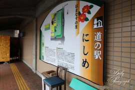 Dairy Photograph 3133