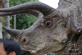 Dairy Photograph 3135