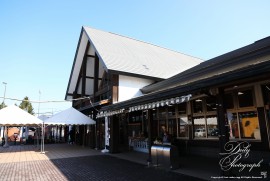 Dairy Photograph 3163