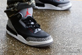 Dairy Photograph 3167