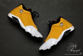 Dairy Photograph 3186 Dairy Photograph 3186